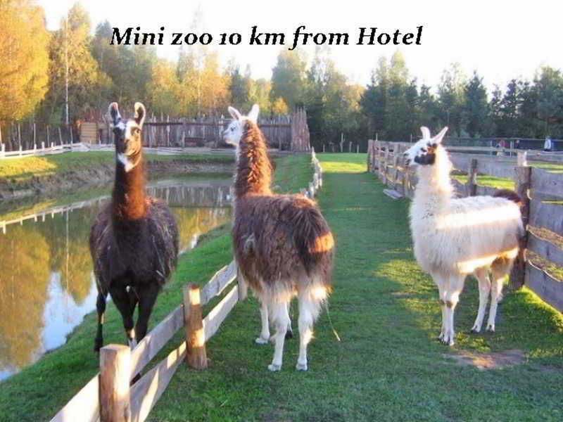 Hotel Pajurio Vieskelis Klaipėda Dış mekan fotoğraf